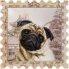 2779284-ko-4018-mops.jpg