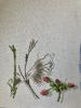 3.thumb.jpeg.cf9db123017783d659aebc8986260b13.jpeg