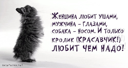 3a7ed49735ce.thumb.gif.fbc158a1216e13a603484311b86aa8c1.gif