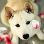 matana_1214