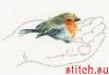40119.thumb.jpg.fb7148442c920fbe933ff109b93a43fc.jpg