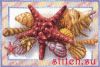 4106.thumb.jpg.30210fe31e5c9ed3dac2b0fba93e3d2d.jpg