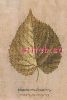 4968.thumb.jpg.cb1f0dde0799fff1aa31ada709a8f54d.jpg
