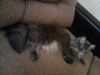 5.thumb.jpg.8d971ad419aae709d47cb1ee029eed87.jpg