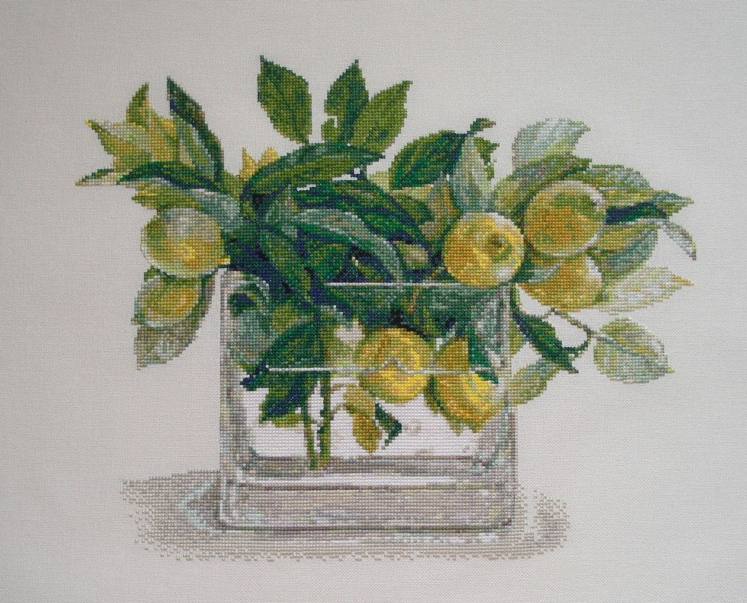 5ac8d6c633a3f_6.JPG.855f375b6b94b8514101