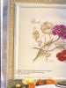 5acbfe295c7be_DFEAHS28EtudesdeBotanique_5.thumb.jpg.a1c7630dfc472e349f6fcad130ae4ad6.jpg