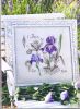 5acbfe9c23f9a_DFEAHS28EtudesdeBotanique_35.thumb.jpg.a22aaa3f6e4c3a955e3e84534d13d232.jpg