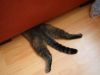 5acc9ded3ef30_A2834.thumb.jpg.76fc0bc2af68d567238866cf93ef146c.jpg
