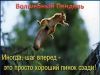 5ad8847864415_C__Data_Users_DefApps_AppData_INTERNETEXPLORER_Temp_SavedImages_hqdefault.thumb.jpg.c456e8c12c8bc0a57d7bec07593094ad.jpg