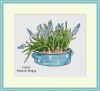 5ad9e79aa0338_Blueflowers.thumb.jpg.f2d0f164d3db5d3397e33e537d10900b.jpg