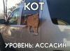 68c4ac0df1d2cf8647f874f963a8fecd.thumb.jpg.fa0015dd19aac74396ba035bf6af77fb.jpg