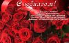 900CB8FE-B7BD-4AEC-9622-BD760A42B7C5.jpeg