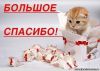 918792827.thumb.jpg.17e966a8dc4d8735792e8f73f461b190.jpg