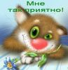 966288770c1fe7584f4e85dffc7b38fa.thumb.jpg.1aea0364bf0987296f9be2cb4d85727b.jpg