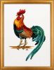 98778-b8a22-22979577-m750x740.thumb.jpg.7ce633942fb0a929f9af59111b5f2f56.jpg
