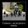 99e0b7b67e2a876e378afbbb8a949e52.thumb.jpg.4e33ee0fefb56e9b99f65602f0bcccbd.jpg