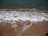 DSC00396.thumb.JPG.c73d85c5c147cf43b96e95d2b2c1a878.JPG