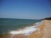 DSC00399.thumb.JPG.1373a95df4b026888756a5b366730bc2.JPG