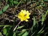 DSC00401.thumb.JPG.480c9247c41c377a3a53428e2f171c8f.JPG