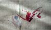 DSCN0182.thumb.jpg.cca743e0e01d04a0b11fface912ee8d2.jpg