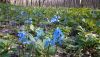 DSC_0072.thumb.JPG.a6237a4302e09ddd23c616f835c02a84.JPG