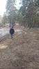 DSC_0512.thumb.JPG.ab39a69d27db415550ff6d9cbf3bc500.JPG
