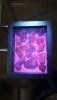 DSC_0516.thumb.JPG.b81141593ea028799eab07ccb016fba3.JPG?1524891515542