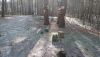 DSC_0518.thumb.JPG.278c86de50f5dd4474c09ee5ce0cb279.JPG