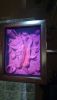 DSC_0518.thumb.JPG.abd4d1bce6144a696b0ca661a140a666.JPG
