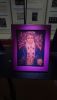 DSC_0519.thumb.JPG.a97d7a49f8987ea228dbe26f737a6f24.JPG
