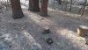 DSC_0521.thumb.JPG.7797cca93dd44e510a7fc49fb1c3511c.JPG