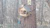 DSC_0526.thumb.JPG.e17b69d9b8dc6a2578e87b080fae3b1b.JPG