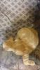 DSC_5475.thumb.JPG.2cfdfd03d3601c1275a4da4028789fb8.JPG