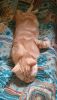 DSC_5950.thumb.JPG.f30b1b9ff1f8ecdb417d790a216a02f5.JPG