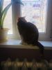 F69640D8-D0BB-4081-B3DF-9394B66F2887.jpeg