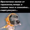 IMG-20180428-WA0005.thumb.jpg.866acef61042a941a0b3ffe340ca1c85.jpg