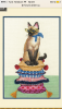 IMG_0018.thumb.PNG.114af944cb19fa679c5499fd9cbaf732.PNG