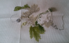 IMG_1600.thumb.PNG.c195aee03a722def0fc4d734bd3afa72.PNG