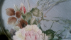 IMG_1601.thumb.PNG.3d27c1b6182871ed28b8632a099e1dfa.PNG
