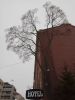 IMG_20180309_145805.thumb.jpg.b4ad39eb1e8c19d804369973854ffc26.jpg