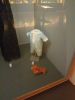 IMG_20180309_172605_HHT.thumb.jpg.e874a7911bd6316b41546b0a221318a1.jpg