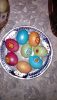IMG_20180407_174449.thumb.jpg.d446ecf0aef9f8009635bb2e3ba3445a.jpg
