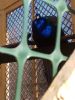 IMG_20180415_155935.thumb.jpg.25d25c50dce95e09cc93b3fe13bbba88.jpg