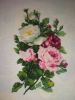 IMG_20180417_182846.thumb.jpg.3a5eeeaef0175ecd02081af9b7ae86ff.jpg