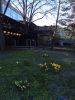 IMG_20180423_165700.thumb.jpg.84aea2be3307dcde6165596e0b41516c.jpg
