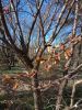 IMG_20180423_170133.thumb.jpg.8f6688a6303efde64c4483d51050e70a.jpg