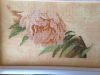 IMG_4537.thumb.JPG.ab1e3d7ec7ab0f585fd64d72a07ec8b6.JPG