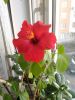 P_20180424_081458_1_p.thumb.jpg.6ac703752cfde0b296e33b1a90287e51.jpg