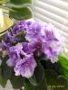 P_20180424_082017_1_p.thumb.jpg.72b9fb85b1a2ddbd14c182bcd44d17a6.jpg
