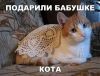 R2hBSbhAu7k.thumb.jpg.6b39be82f9e68593ad21c94144f96799.jpg